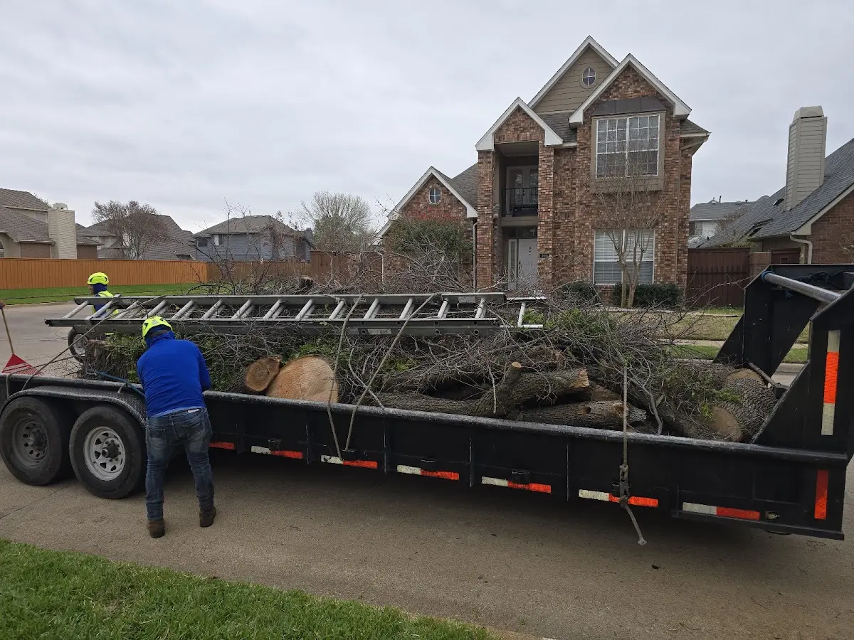 Expert Lot Clearing with proper safety equipment in Franklin